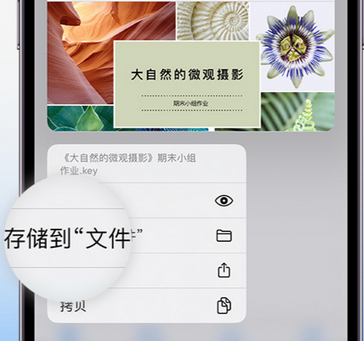 南关apple维修中心分享iPhone文件应用中存储和找到下载文件