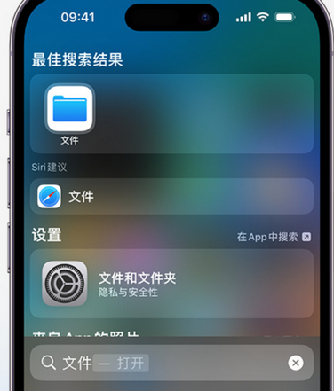 南关apple维修中心分享iPhone文件应用中存储和找到下载文件 