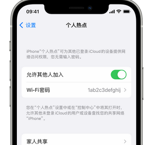 南关apple服务站点分享iPhone上个人热点丢失了怎么办 