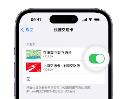 南关apple维修点分享iPhone上更换Apple Pay快捷交通卡手绘卡面 