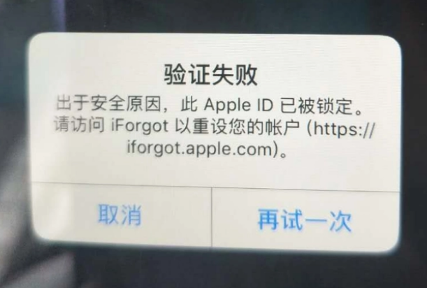 南关iPhone维修分享iPhone上正常登录或使用AppleID怎么办 