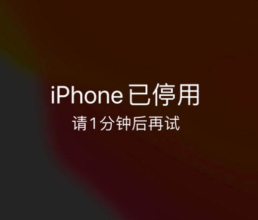 南关苹果手机维修分享:iPhone 显示“不可用”或“已停用”怎么办？还能保留数据吗？ 