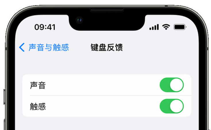 南关苹果手机维修分享iPhone 14触感键盘使用方法 