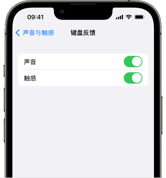 南关苹果14维修店分享如何在 iPhone 14 机型中使用触感键盘 