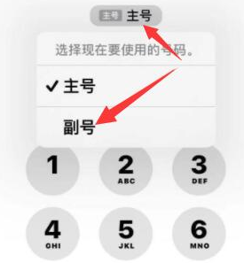 南关苹果14维修店分享iPhone 14 Pro Max使用副卡打电话的方法 