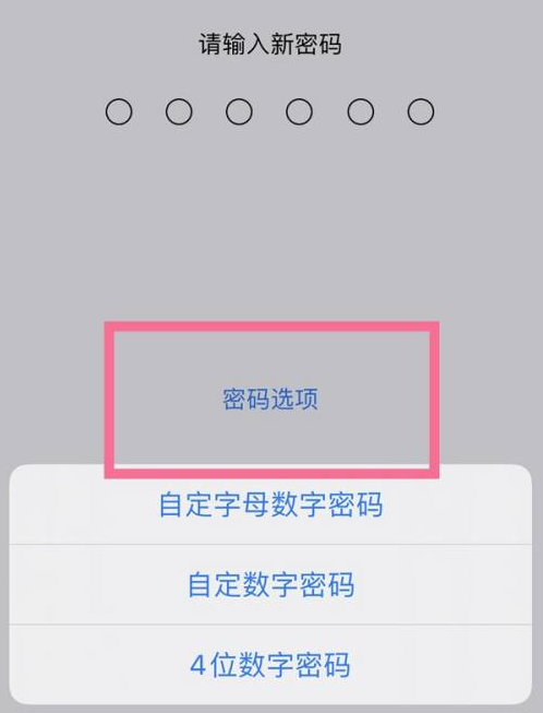 南关苹果14维修分享iPhone 14plus设置密码的方法 